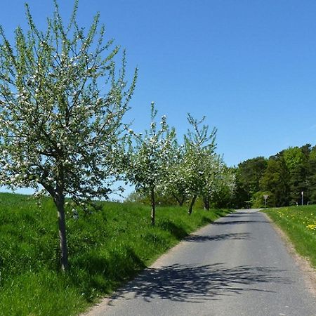 Ferienwohnung Familie Jacobi "Kurfuerst" Naumburg  Zewnętrze zdjęcie