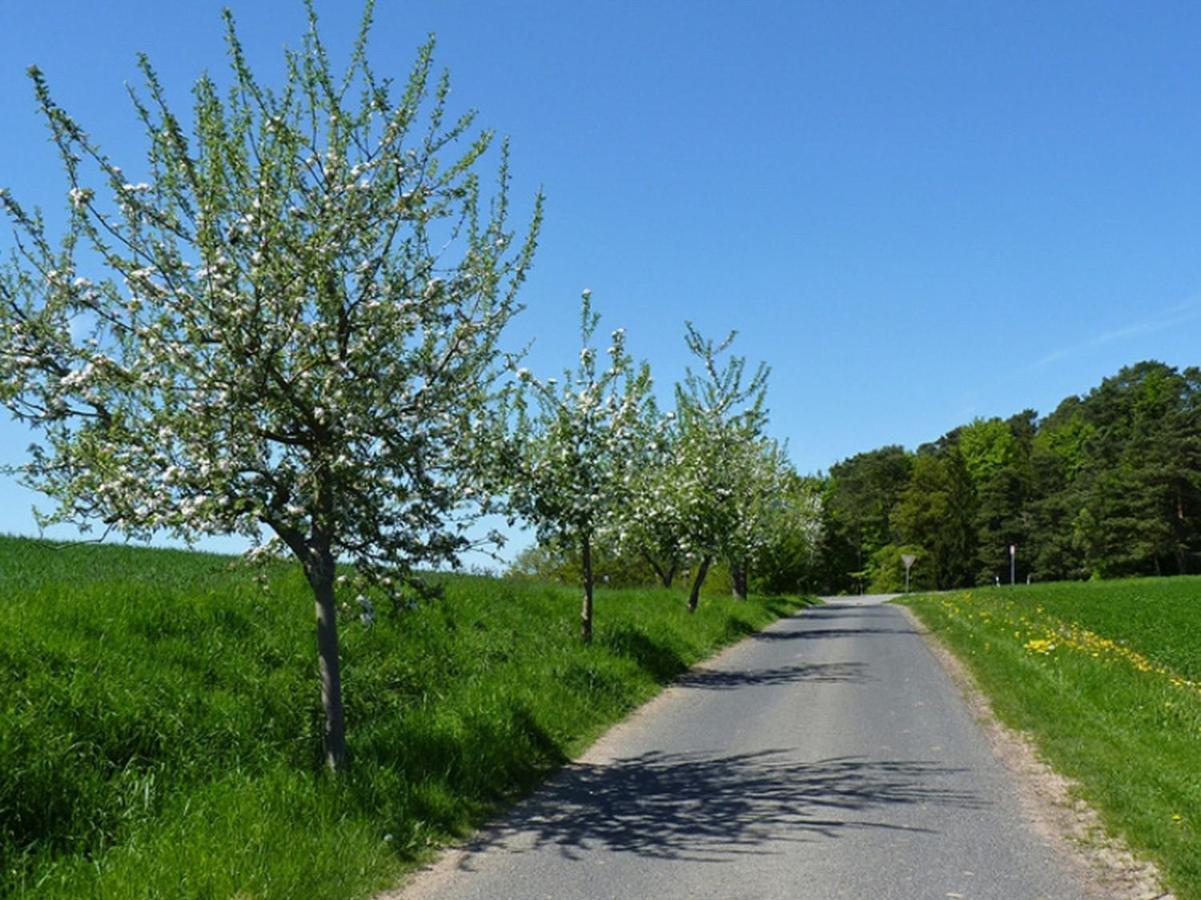Ferienwohnung Familie Jacobi "Kurfuerst" Naumburg  Zewnętrze zdjęcie